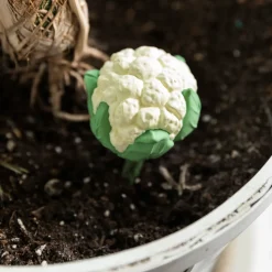 Beißring & Rassel | Blumenkohl