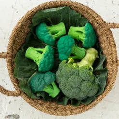 Beißspielzeug | Brucy the Broccoli