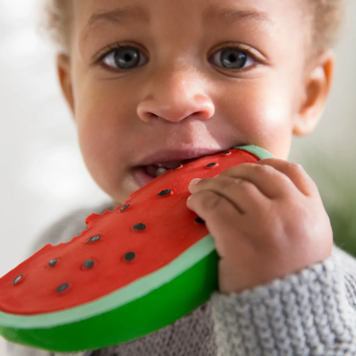Beißspielzeug | Wally the Watermelon