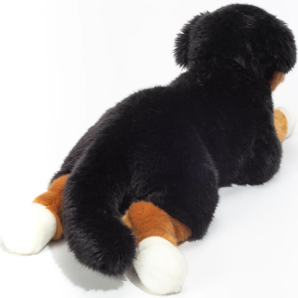 Berner Sennenhund liegend | 40 cm