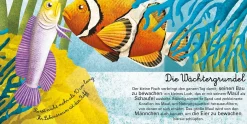 Das groβe Buch der Seetiere. Das kleine Buch der Seetiere