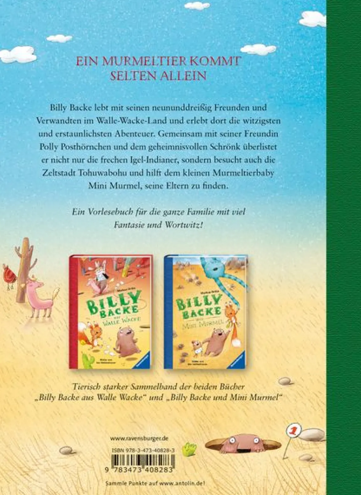 Das große Buch von Billy Backe