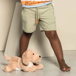 Goldendoodle Berno | 26 cm