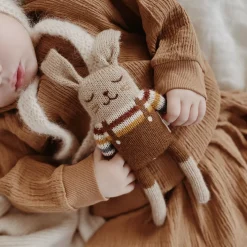 Hase aus Baby-Alpakawolle | Regenbogen-Pulli