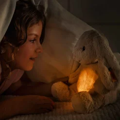 Hase Hoppie | Light at Night