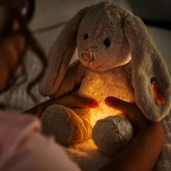 Hase Hoppie | Light at Night