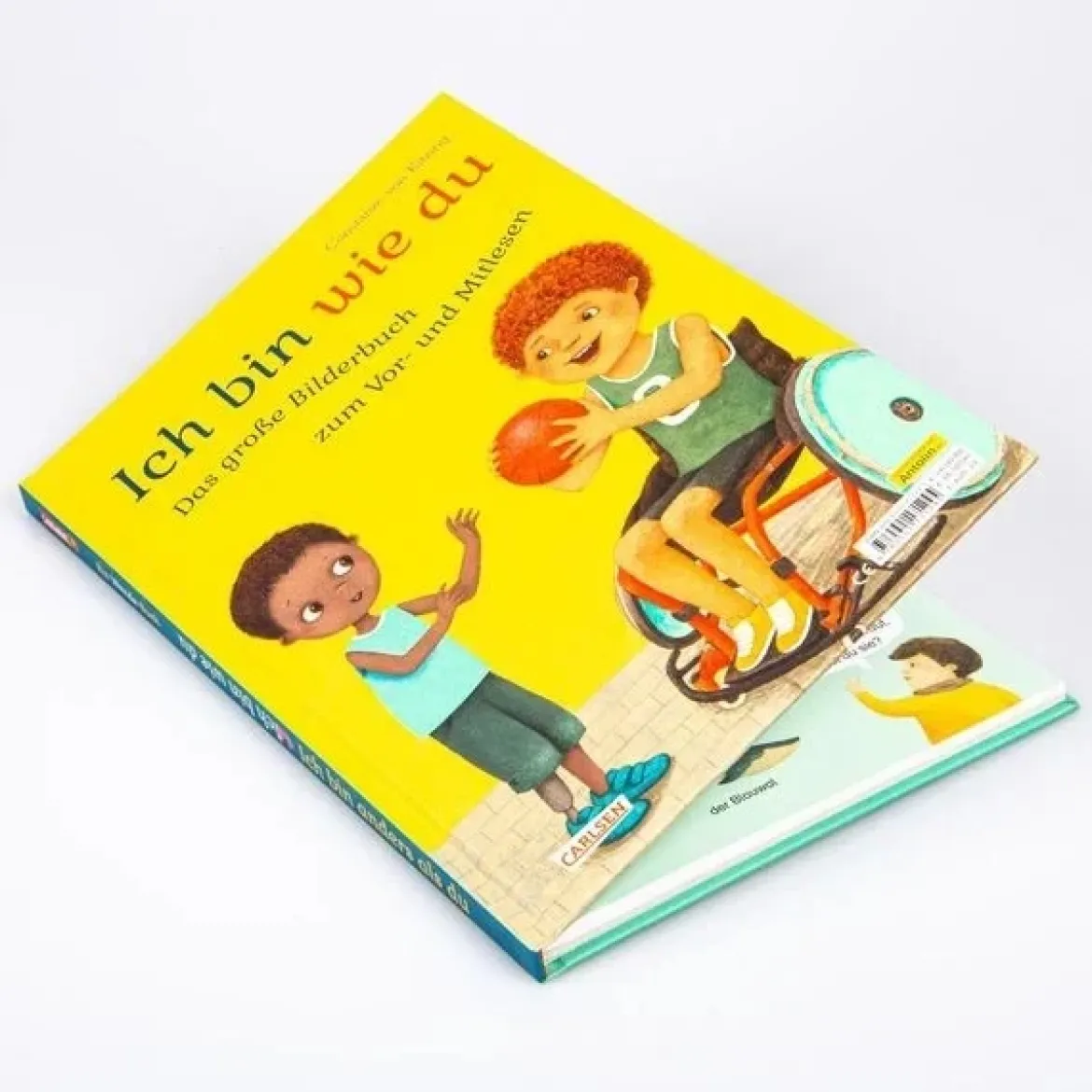 Ich bin anders als du – Ich bin wie du: Das große Bilderbuch zum Vor- und Mitlesen