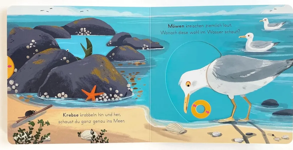 Komm mit nach draußen! - Tiere am Meer