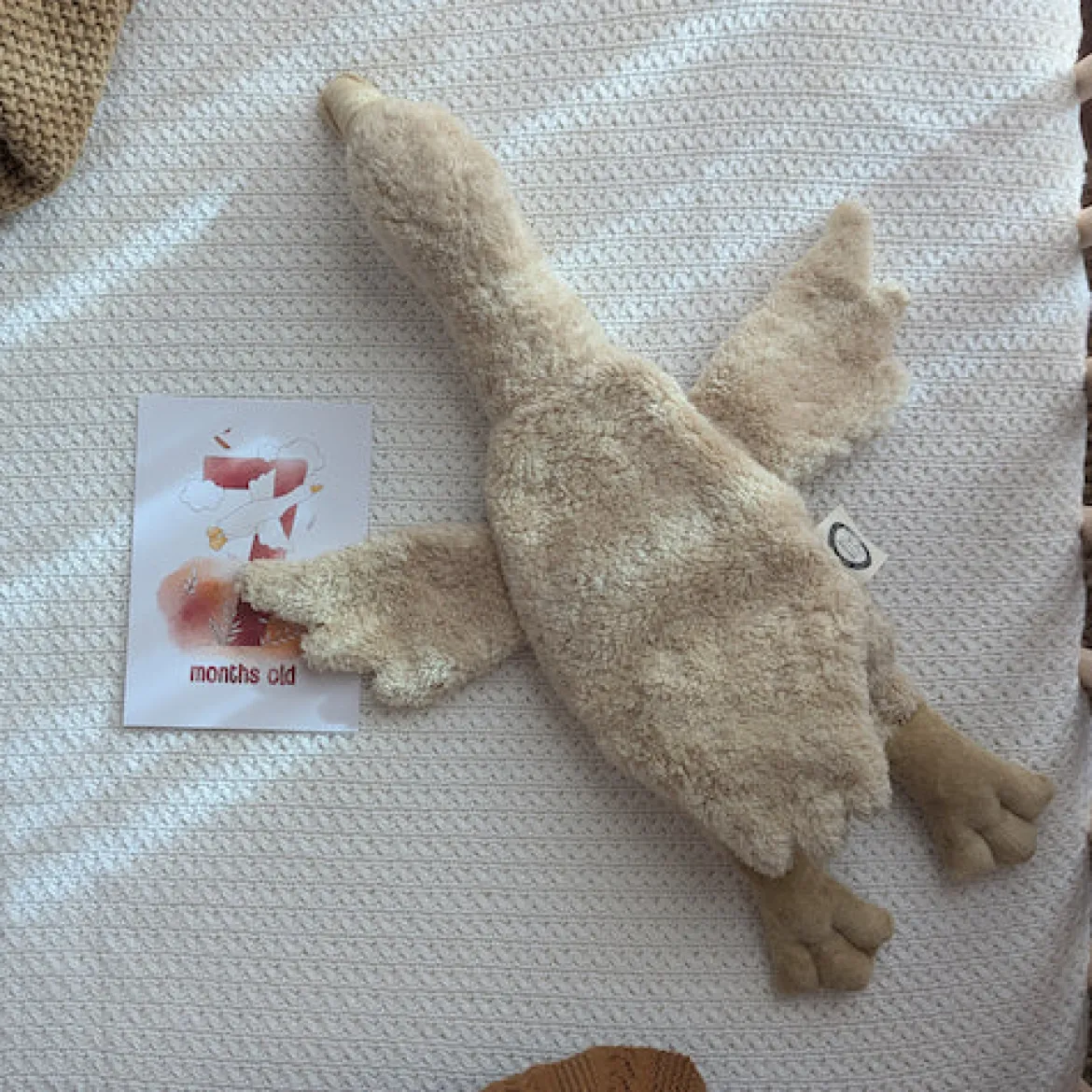 Kuscheltier & Wärmekissen | Kleine Gans Leinen