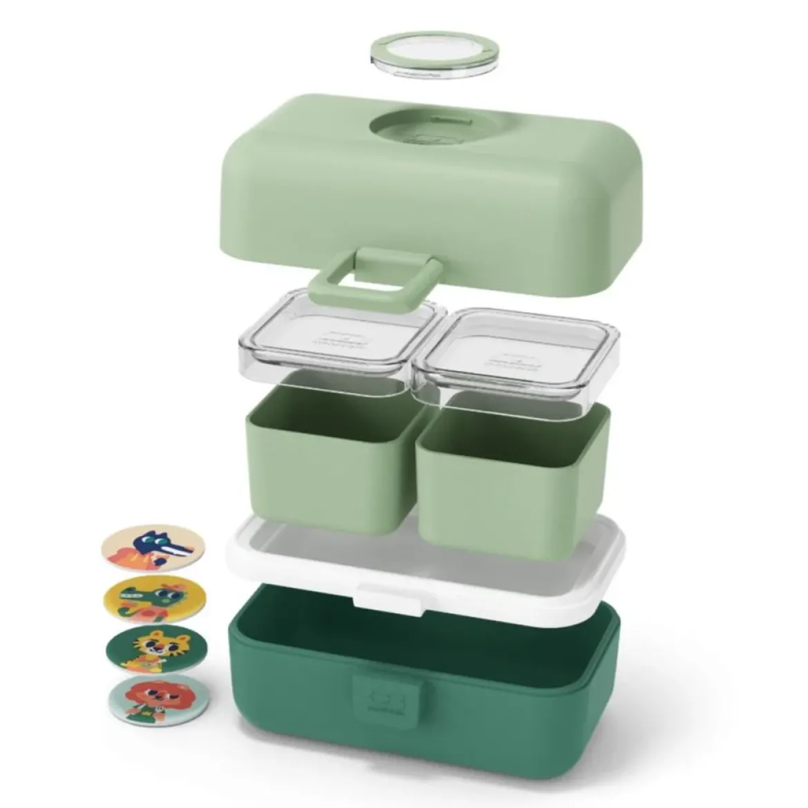 Lunchbox Bento-Box | Greenforest