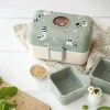 Lunchbox Bento-Box | Raccoon