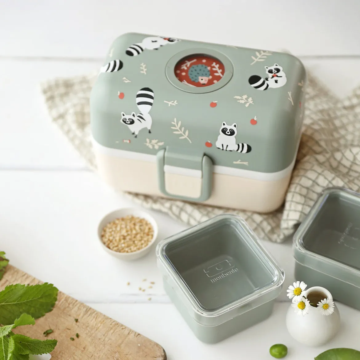Lunchbox Bento-Box | Raccoon