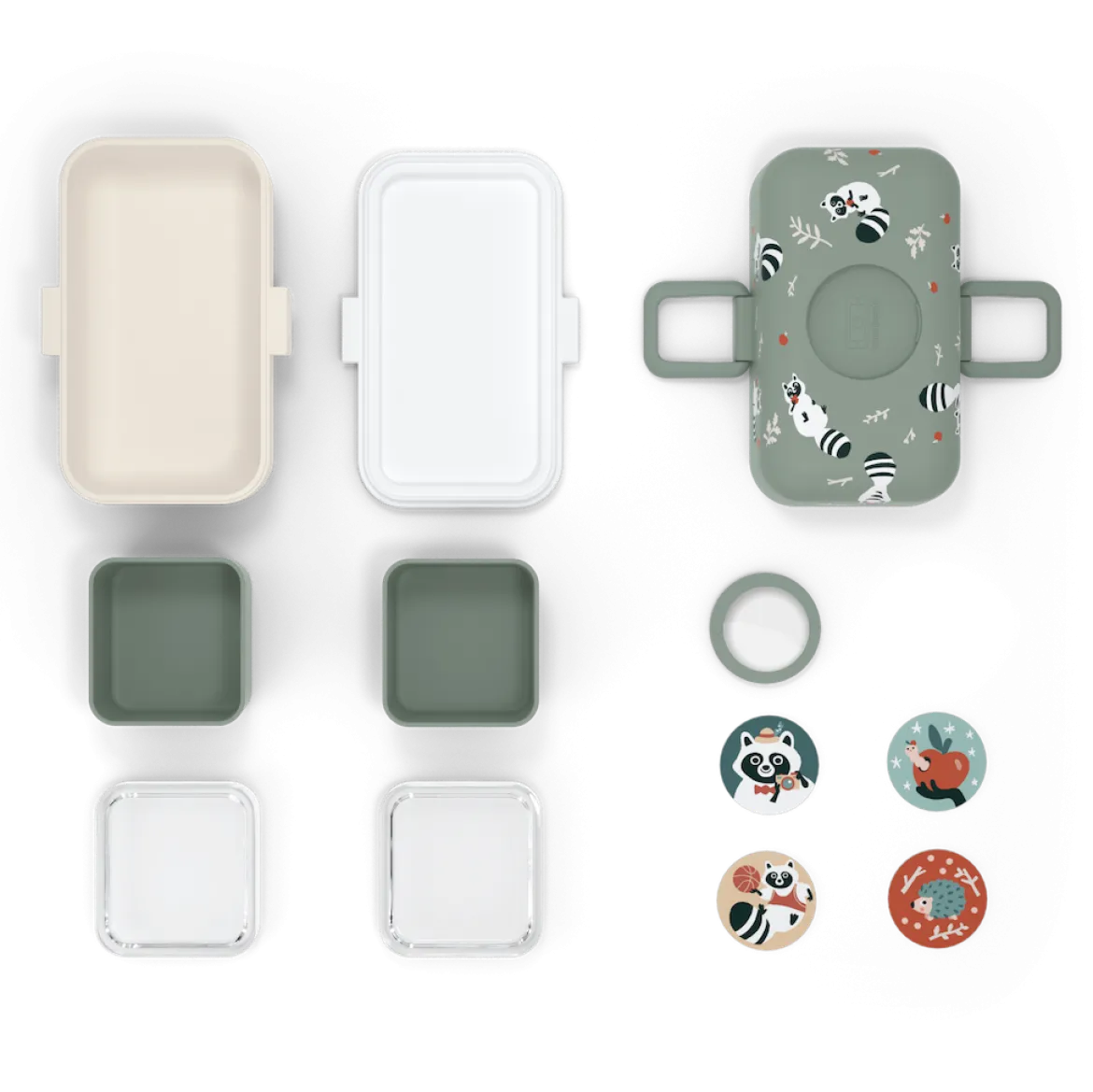 Lunchbox Bento-Box | Raccoon