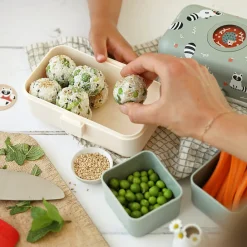 Lunchbox Bento-Box | Raccoon