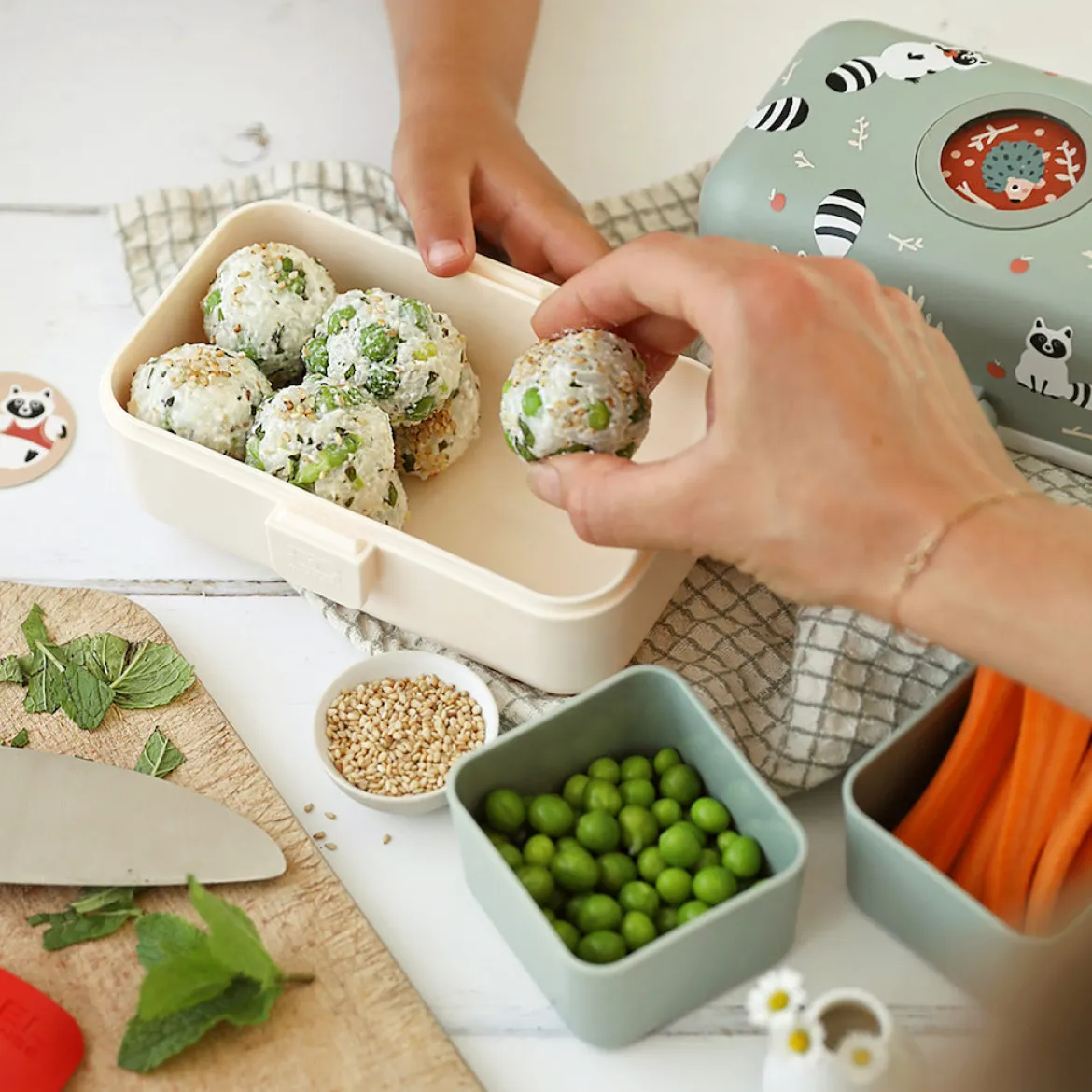 Lunchbox Bento-Box | Raccoon