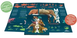 MEGA