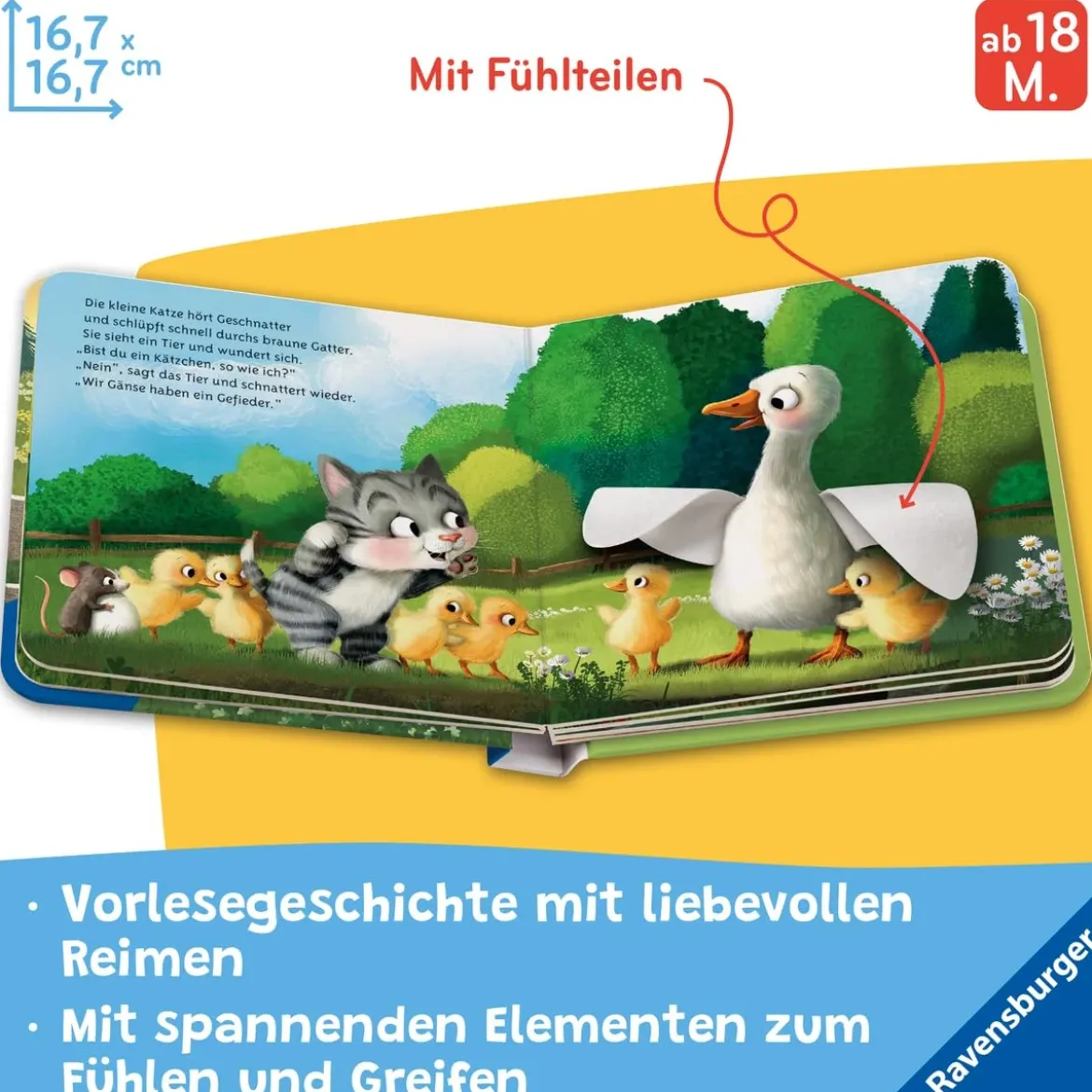 Mein erstes Vorlese-Fühlbuch: Bist du eine Katze?