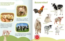 Mein großes Buch der Tiergeräusche