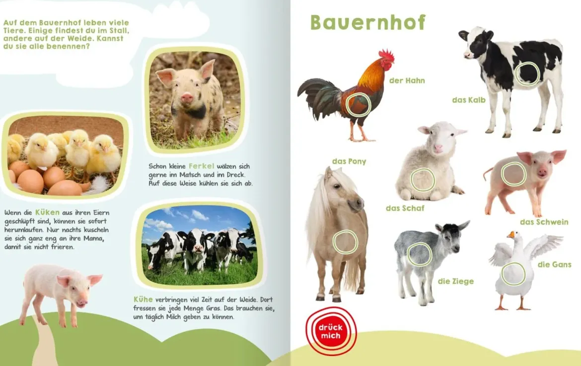 Mein großes Buch der Tiergeräusche