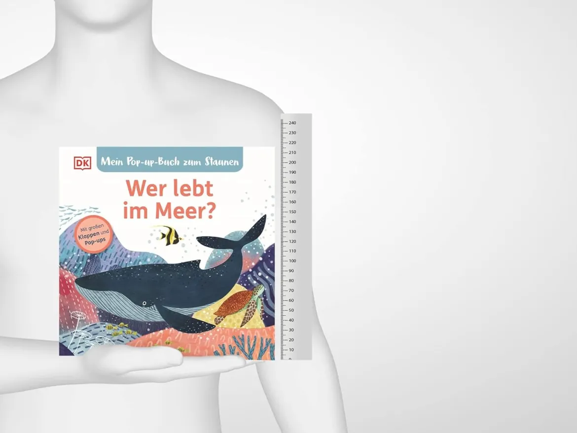 Mein Pop-up-Buch zum Staunen. Wer lebt im Meer?