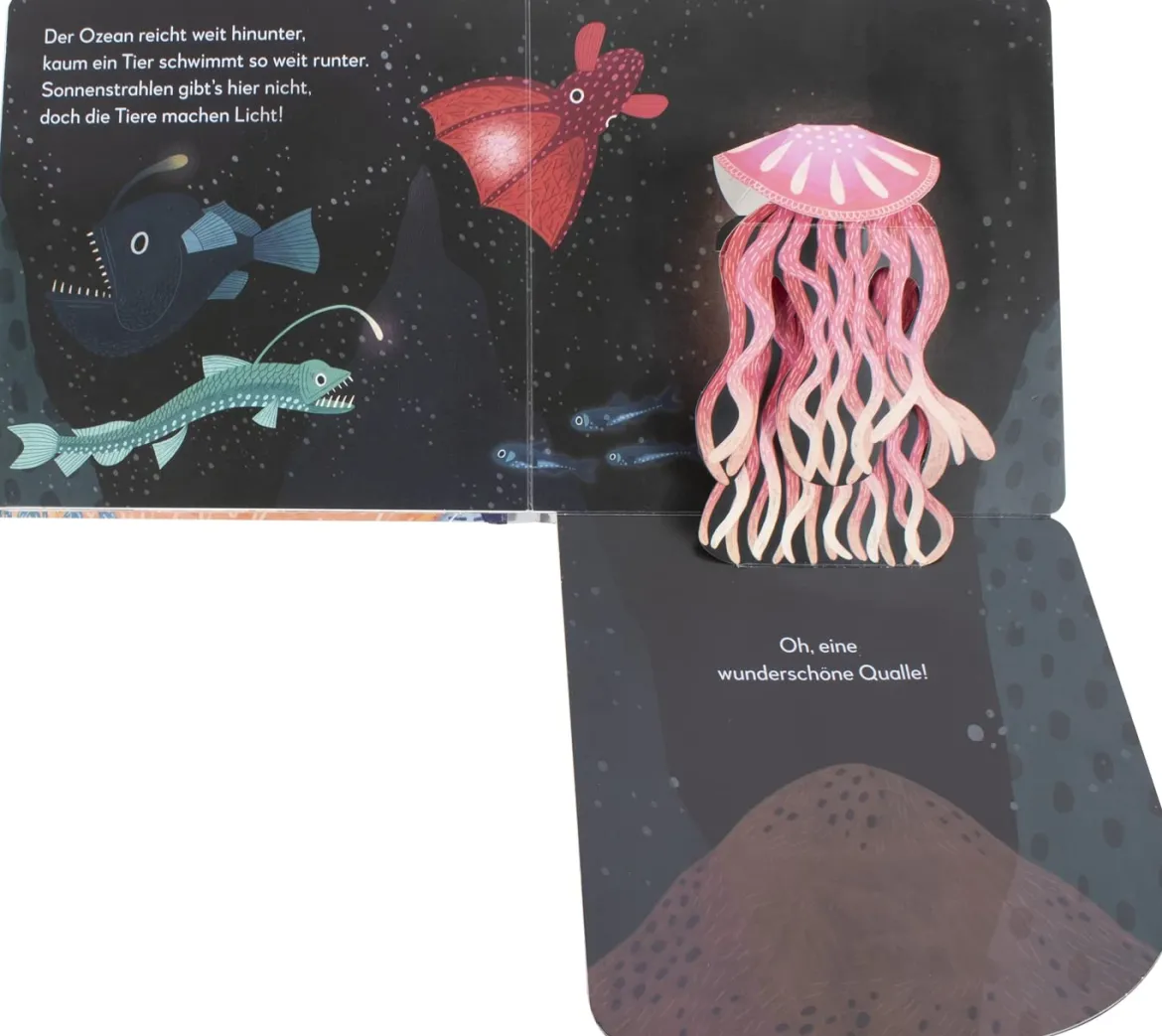 Mein Pop-up-Buch zum Staunen. Wer lebt im Meer?
