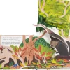 Mein Pop-up-Buch zum Staunen. Wer lebt im Regenwald?