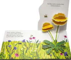Mein Pop-up-Buch zum Staunen. Wo kommst du her, kleiner Löwenzahn?