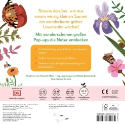 Mein Pop-up-Buch zum Staunen. Wo kommst du her, kleiner Löwenzahn?