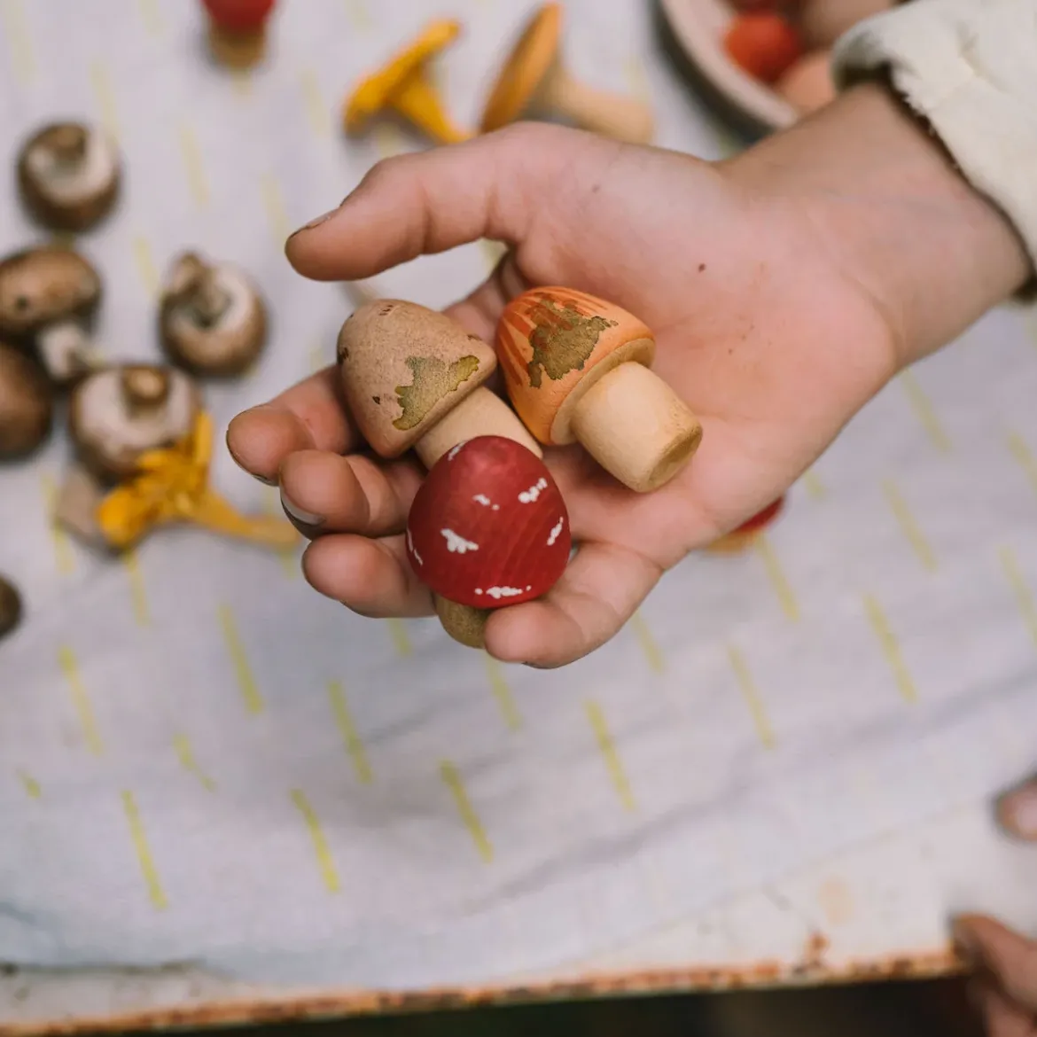 Mushroom Growe | 18 handbemalte Holzpilze