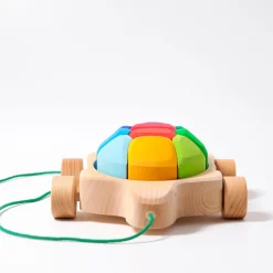 Nachziehtier | Regenbogen Schildkröte