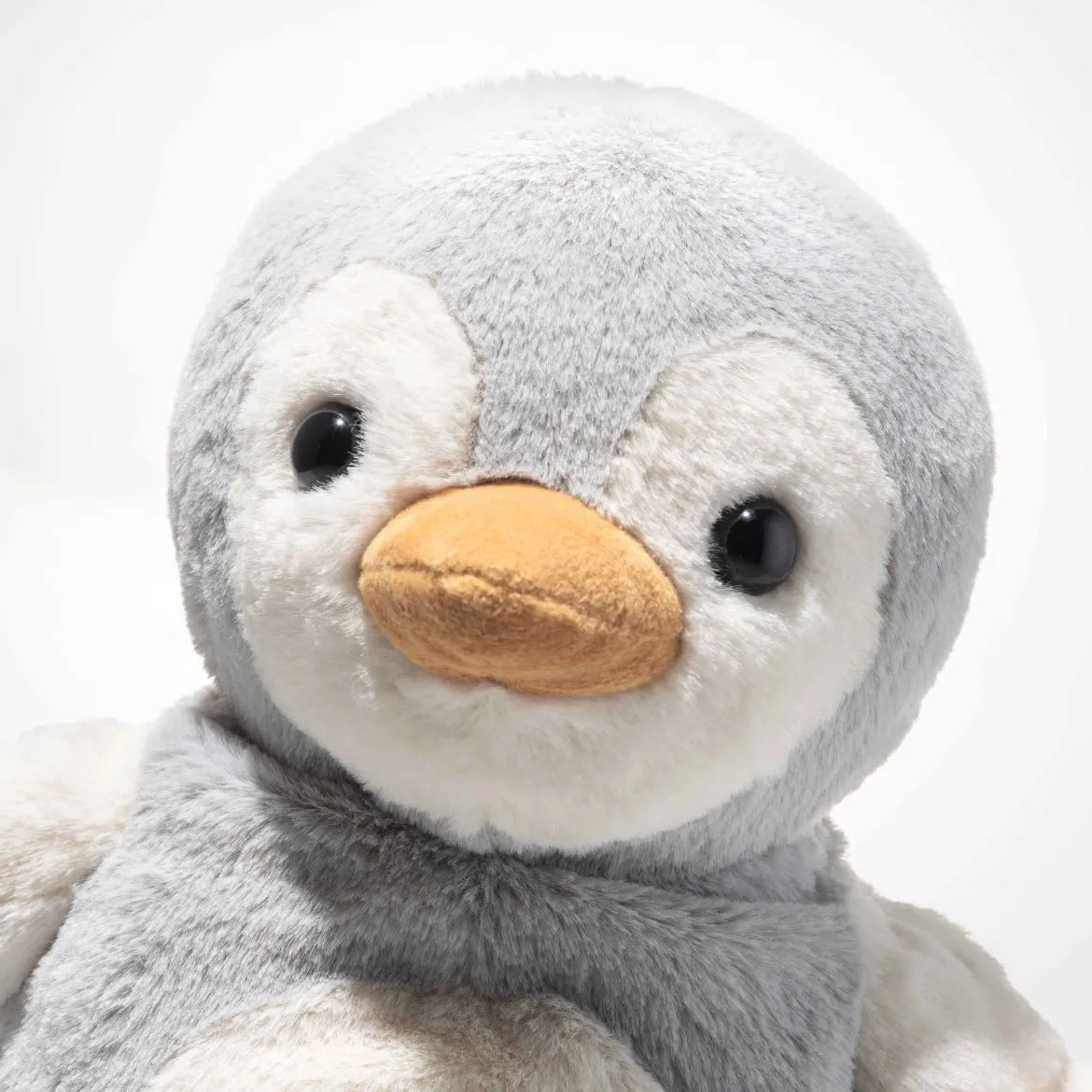 Pinguin Lio | Light at Night