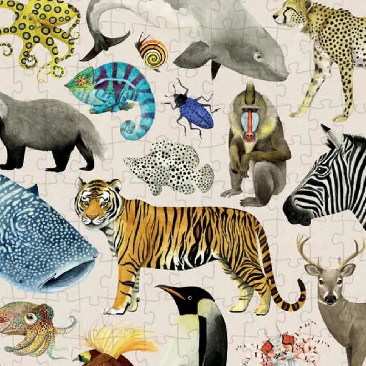 Puzzle Tiere der Welt | 200 Teile