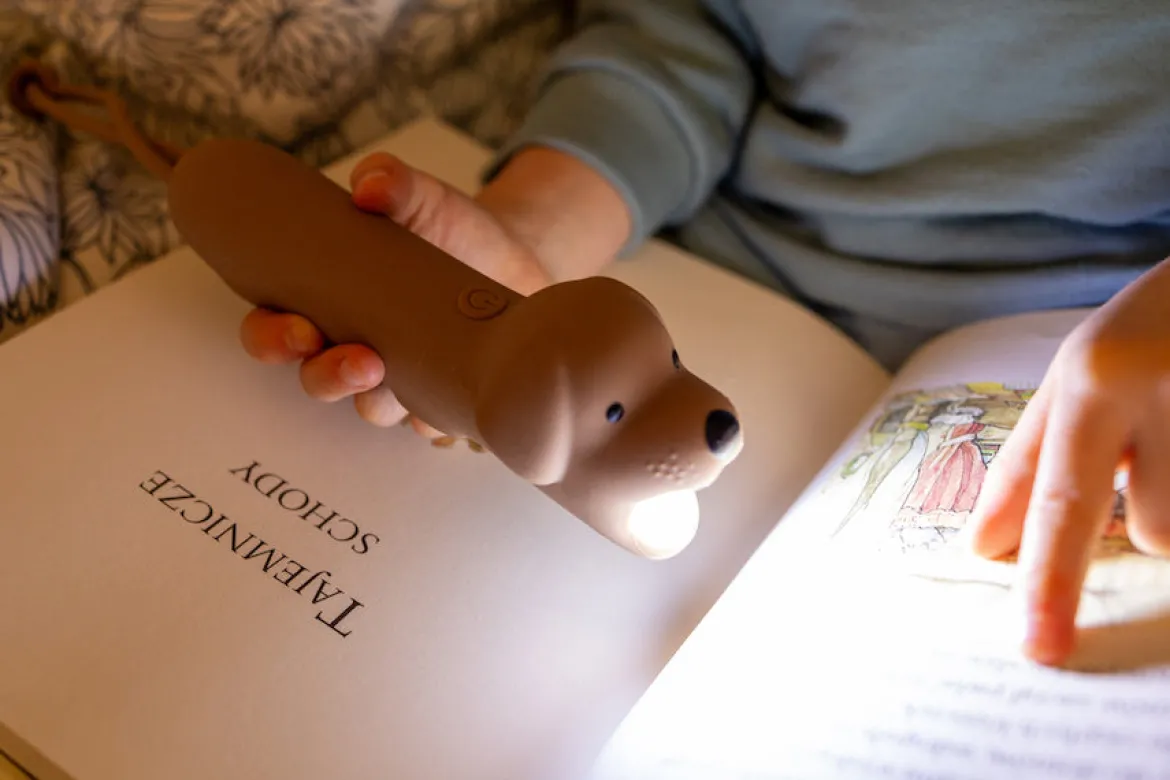 Rabbit & Friends Taschenlampe | Hund