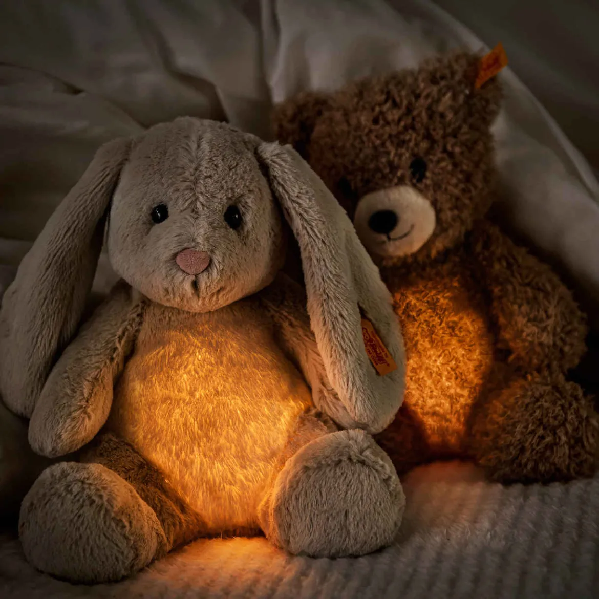Teddybär Caspar | Light at Night