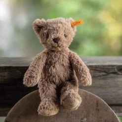 Teddybär Thommy | 20 cm