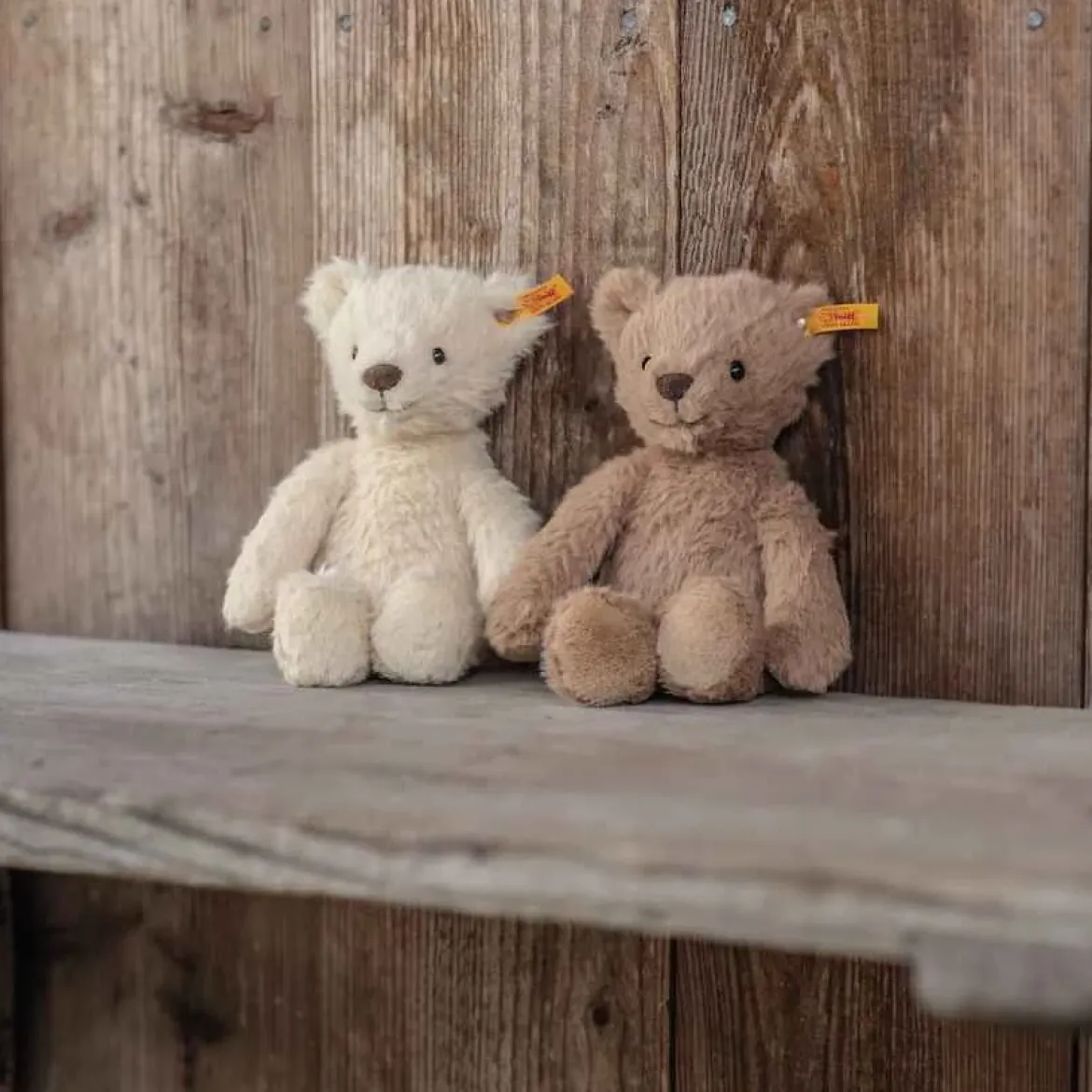 Teddybär Thommy | 20 cm