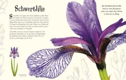 Wundervolle Welt der Natur