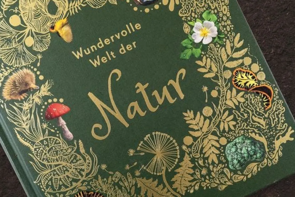 Wundervolle Welt der Natur