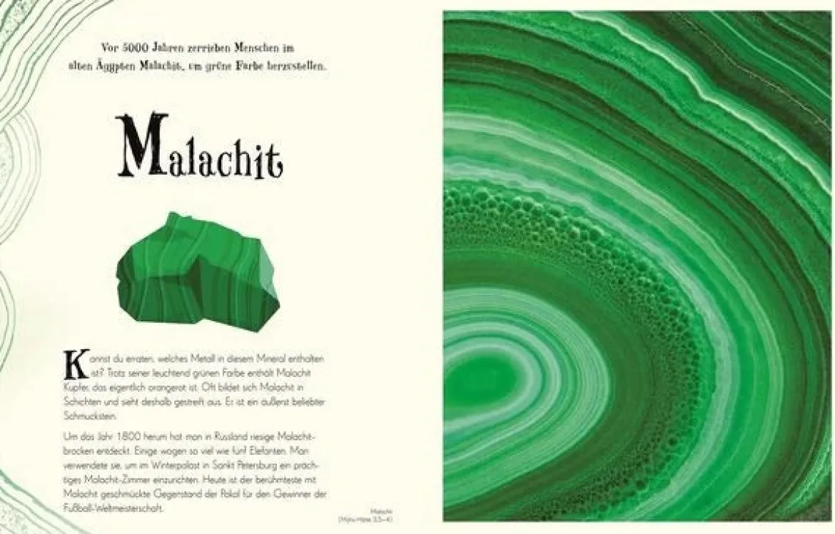 Wundervolle Welt der Natur