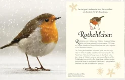 Wundervolle Welt der Vögel