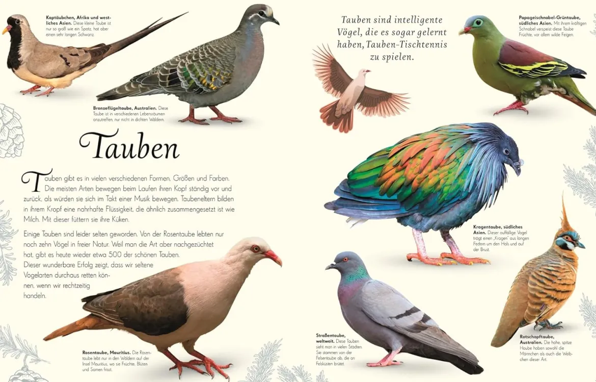 Wundervolle Welt der Vögel