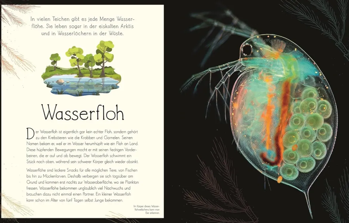 Wundervolle Welt. Wasser